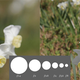 Illustration for article titled Giz Explains: Why Lenses Are the Real Key to Stunning Photos